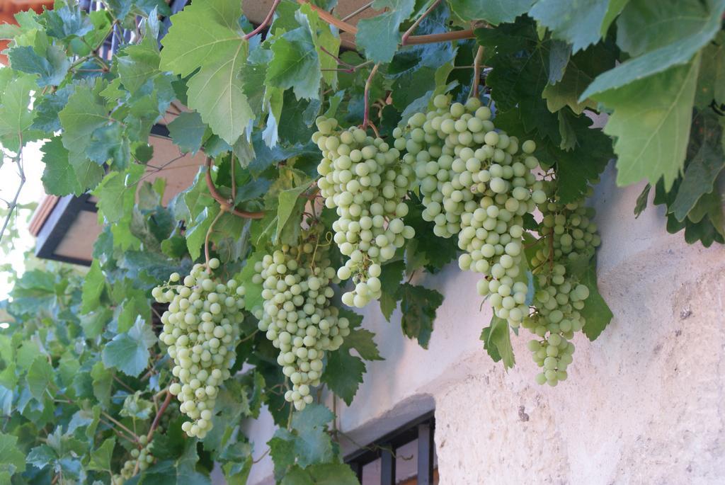 Dulce Encanto Del Valle Valle de Tabladillo Zewnętrze zdjęcie